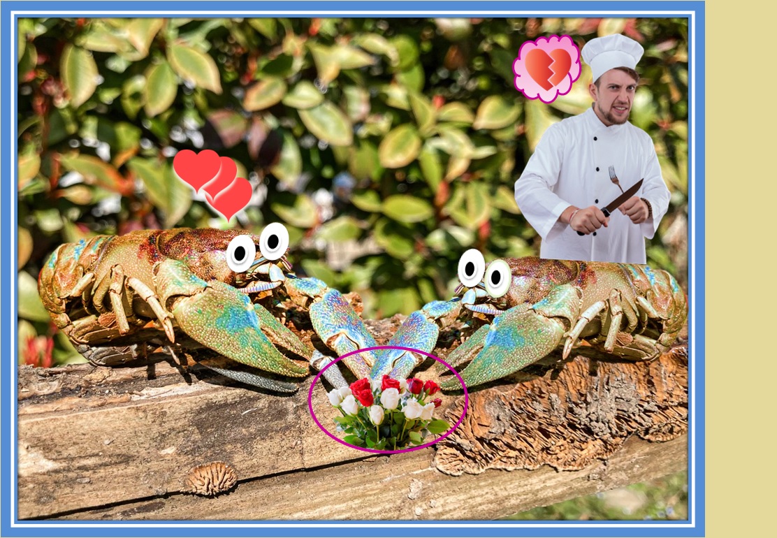 (Eng/Esp) Let's Make a Collage - A Contest for All Creatives on Hive - Round 74 -/Hagamos un collage - Un concurso para todos los creativos en Hive - Ronda 74