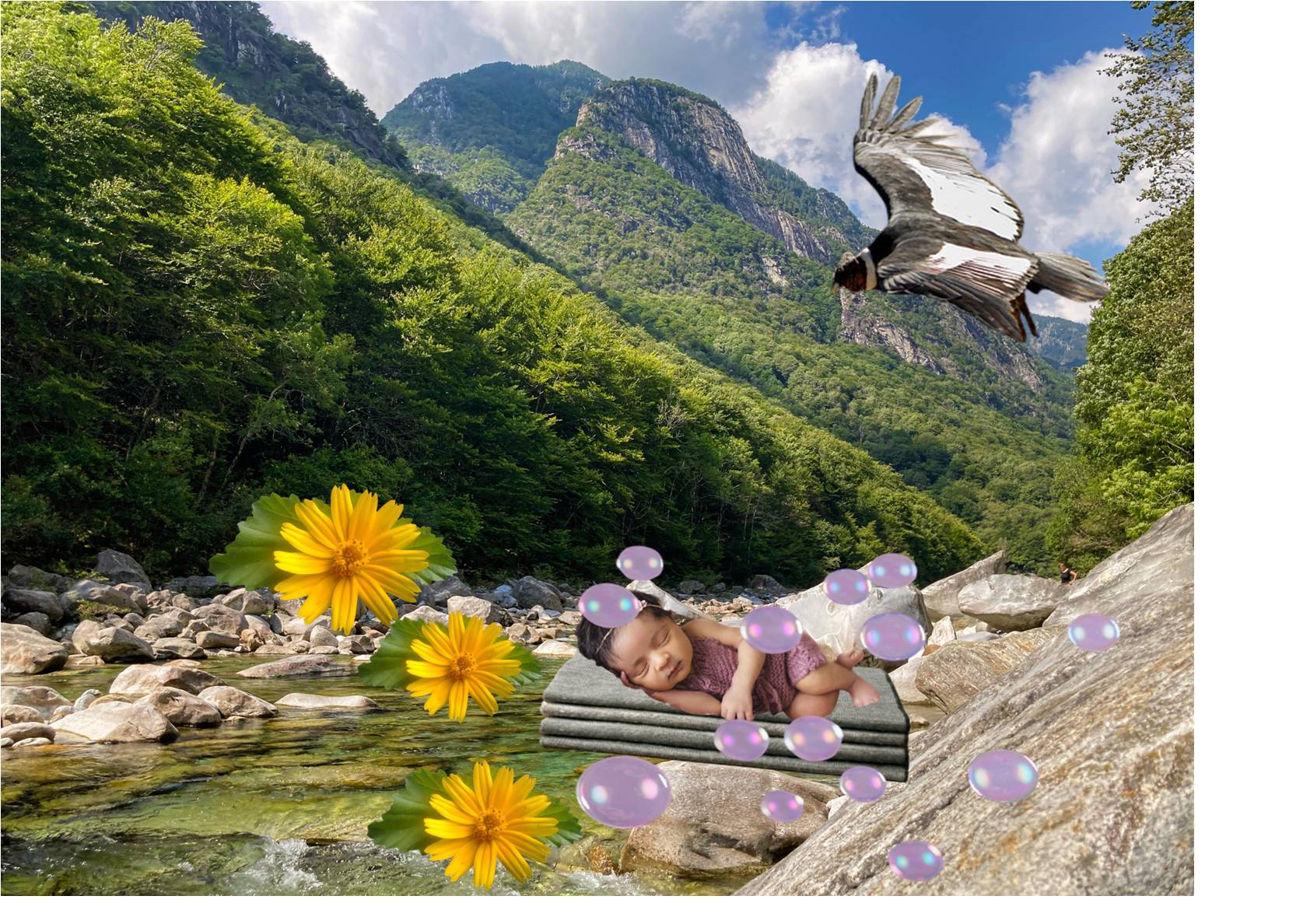collage 94.jpg