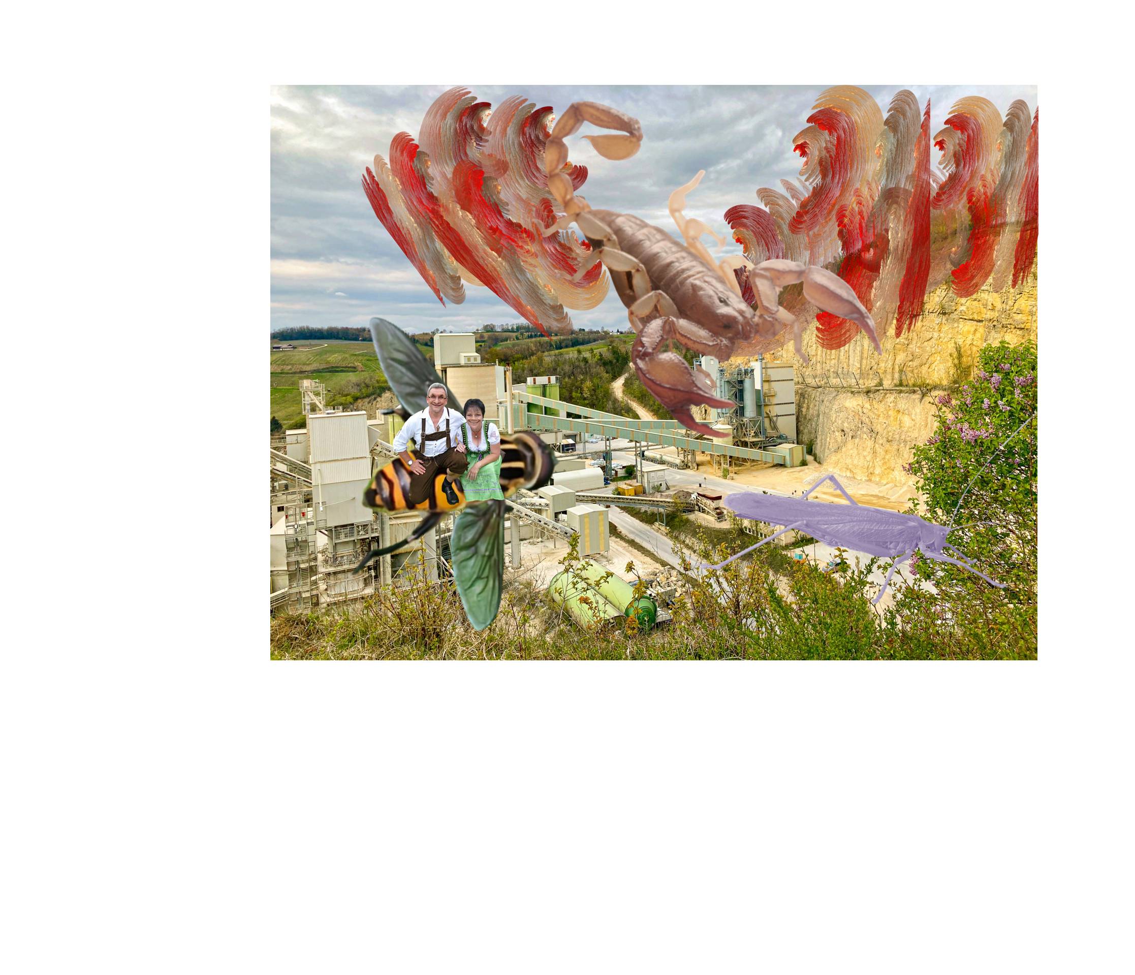 Collage 102.jpg