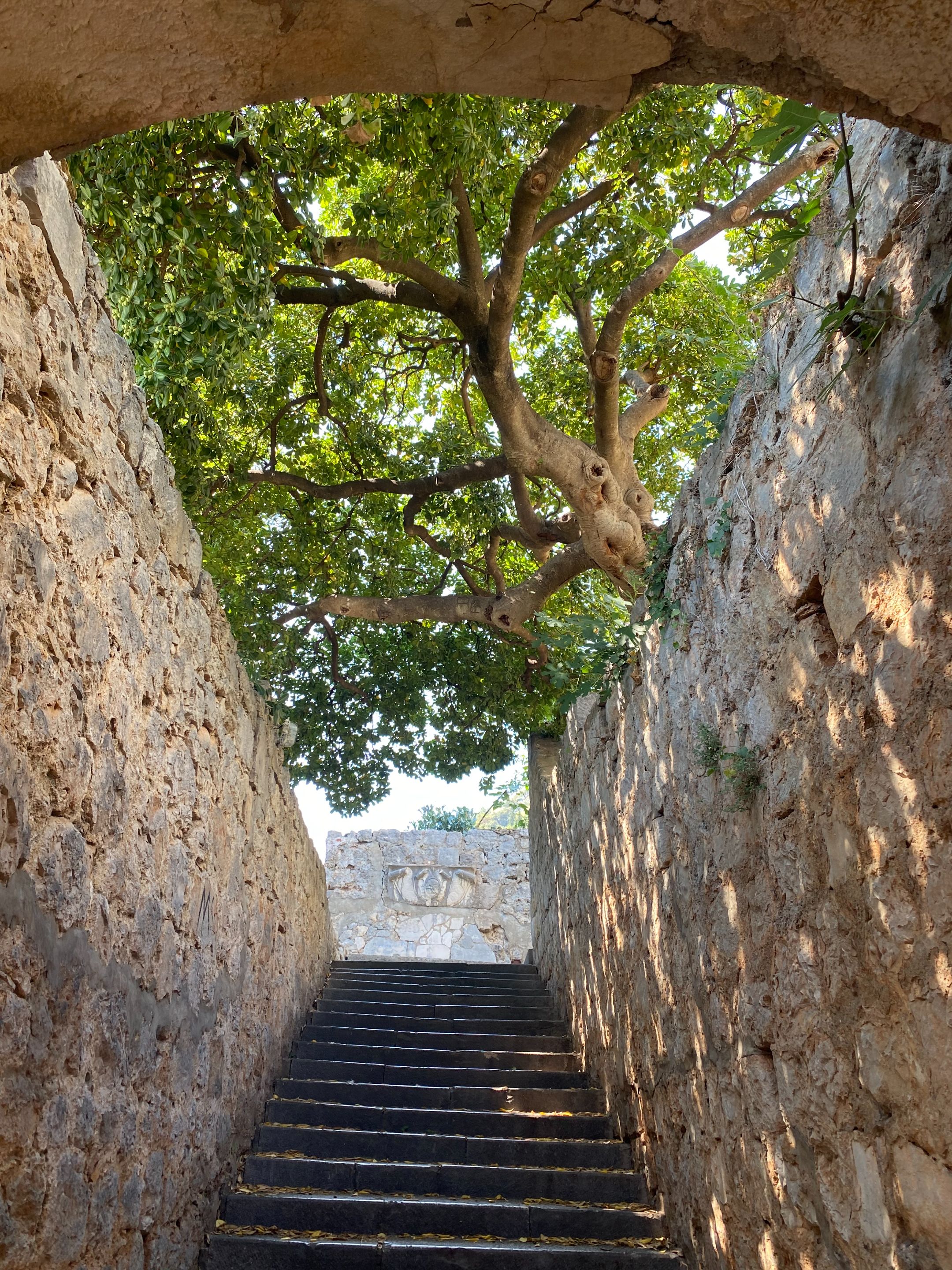 IMG_8600.jpg