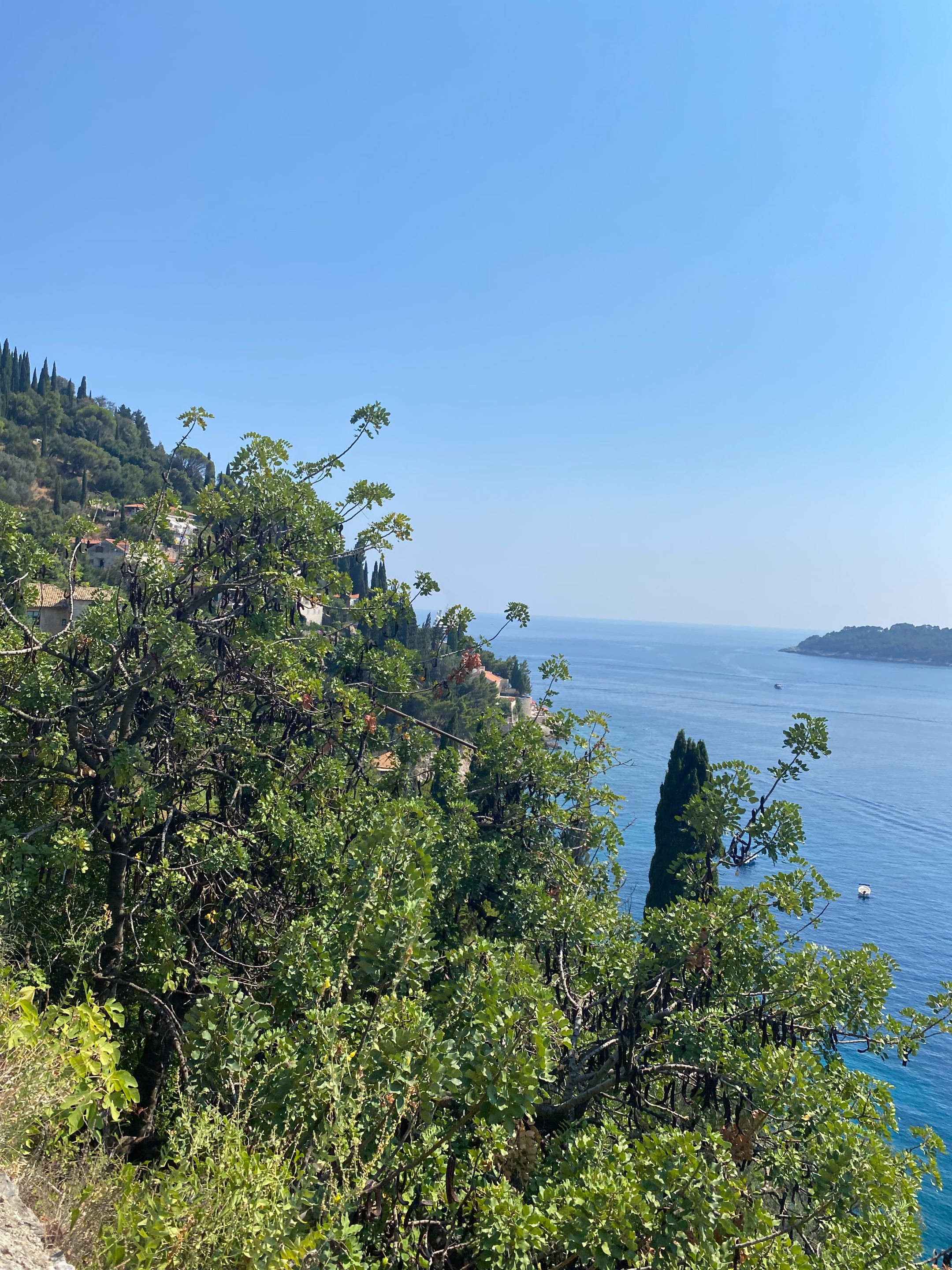 IMG_8624.jpg