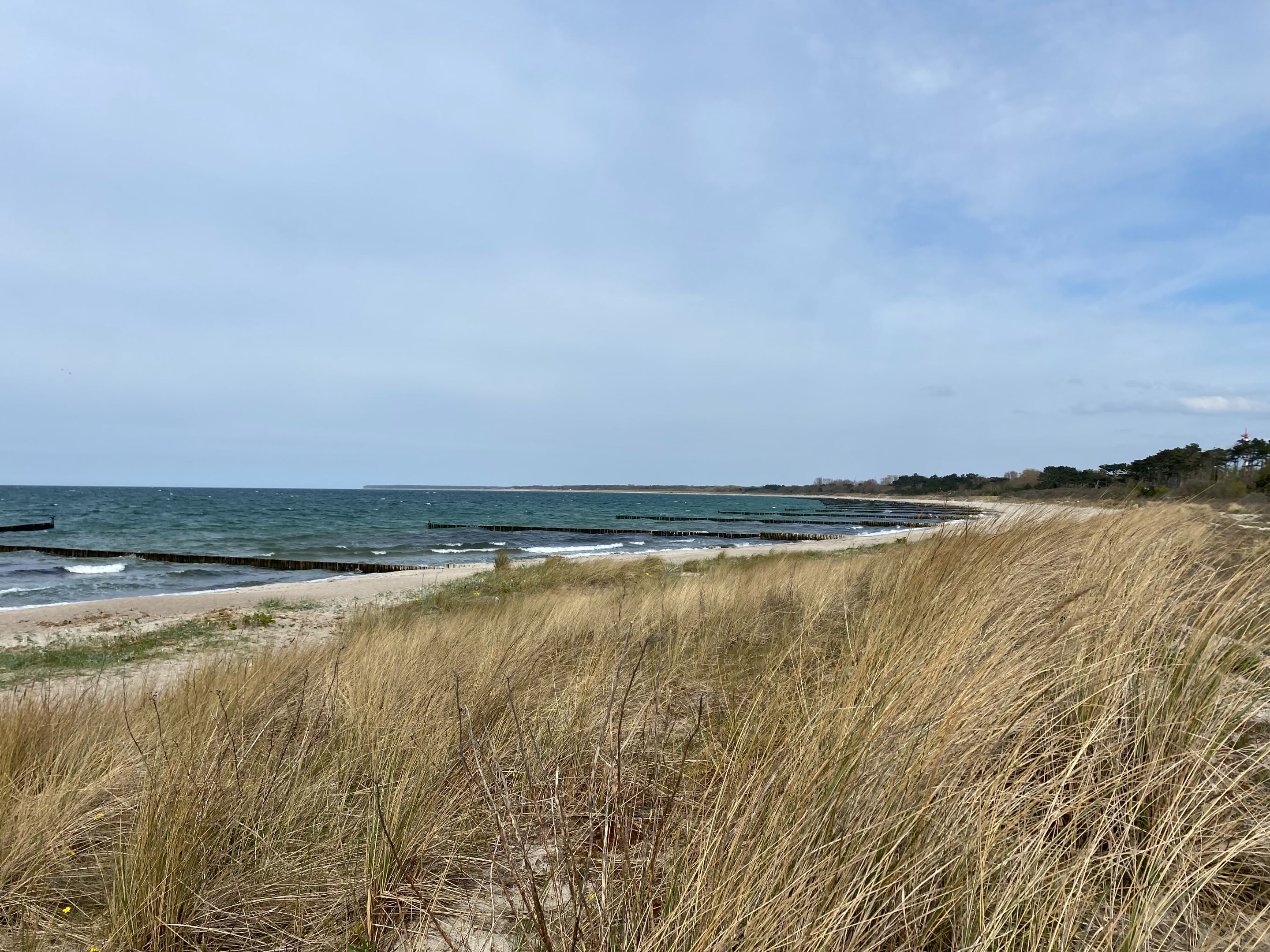 IMG_8757.jpg