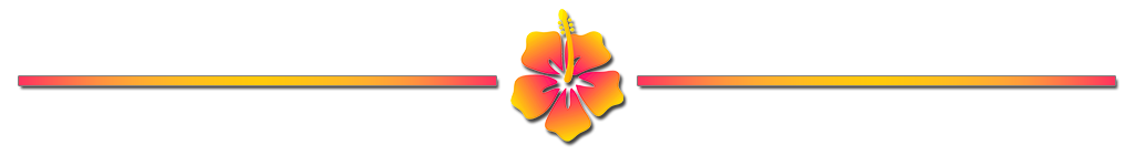divisor flor2.png