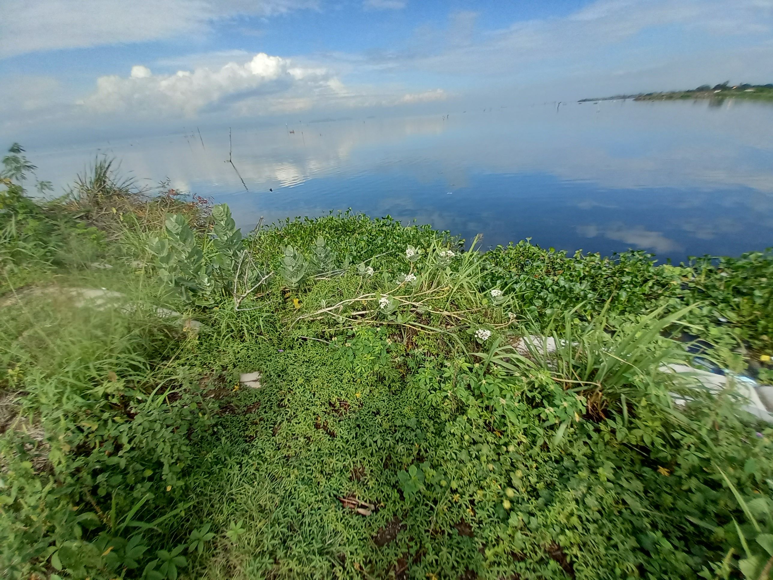 20220721_093102.jpg