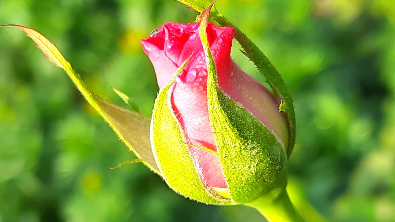 3jpR3paJ37V8JxyWvtbhvcm5k3roJwHBR4WTALx7XaoRovfD2uDzGnDbQhK2xNV2CLhbdUwWhpwSrdV3dF8ruqu7kiyNJzPvgKXfAFd66BnnrvuMRiLc9yJfFfLwy9CeqePtS.jpg
