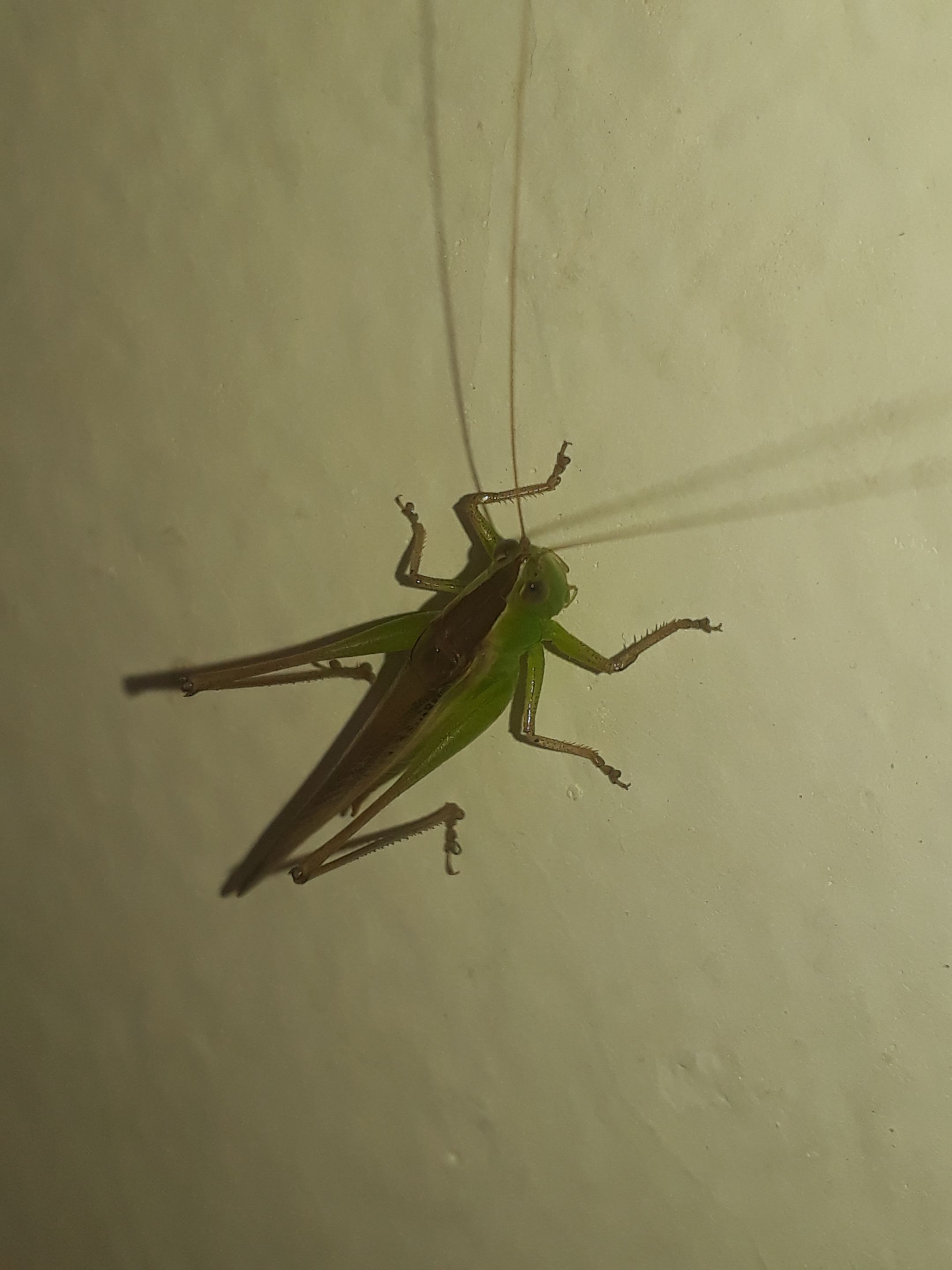 20220907_072122.jpg
