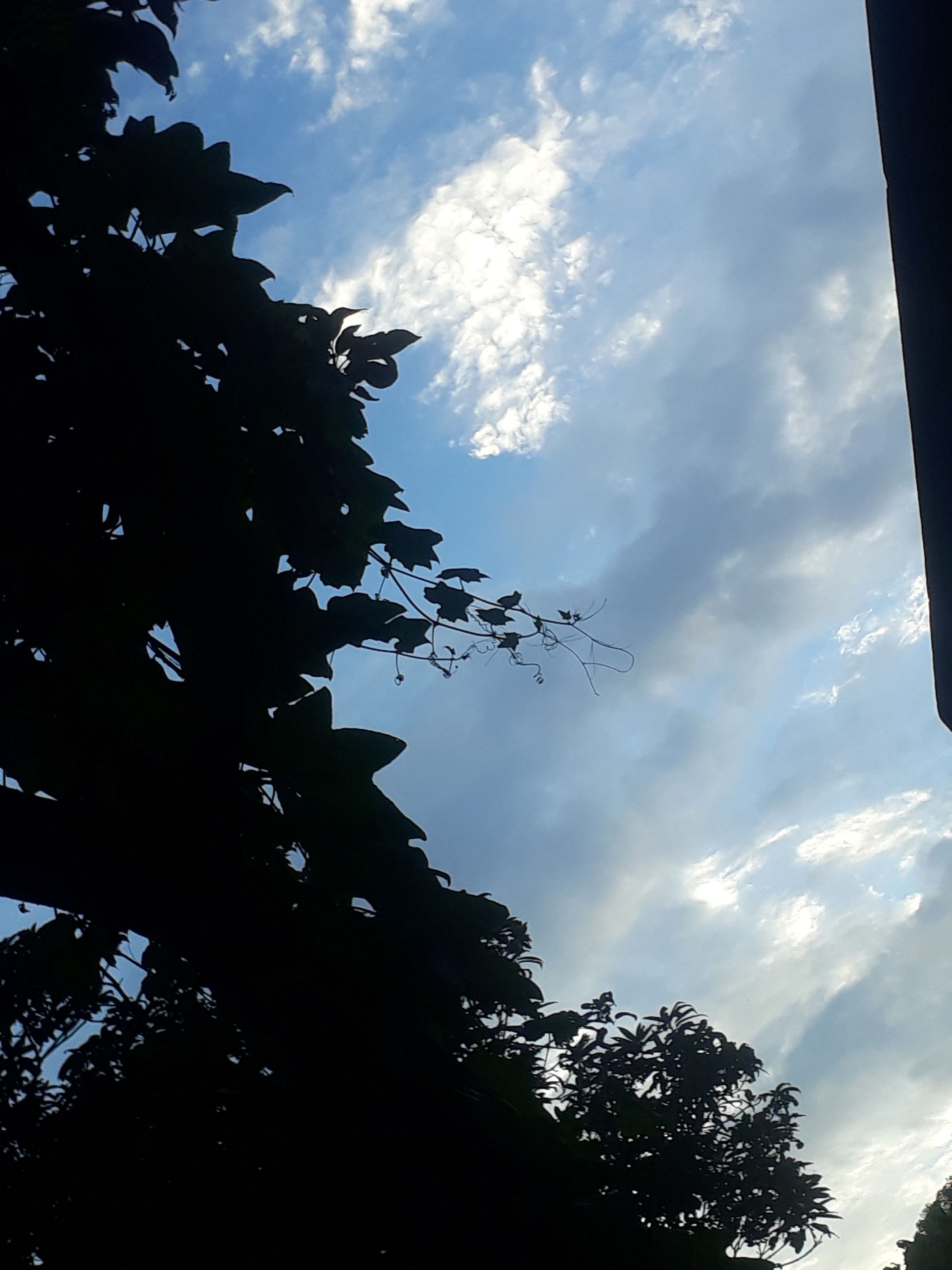 20230714_183525.jpg