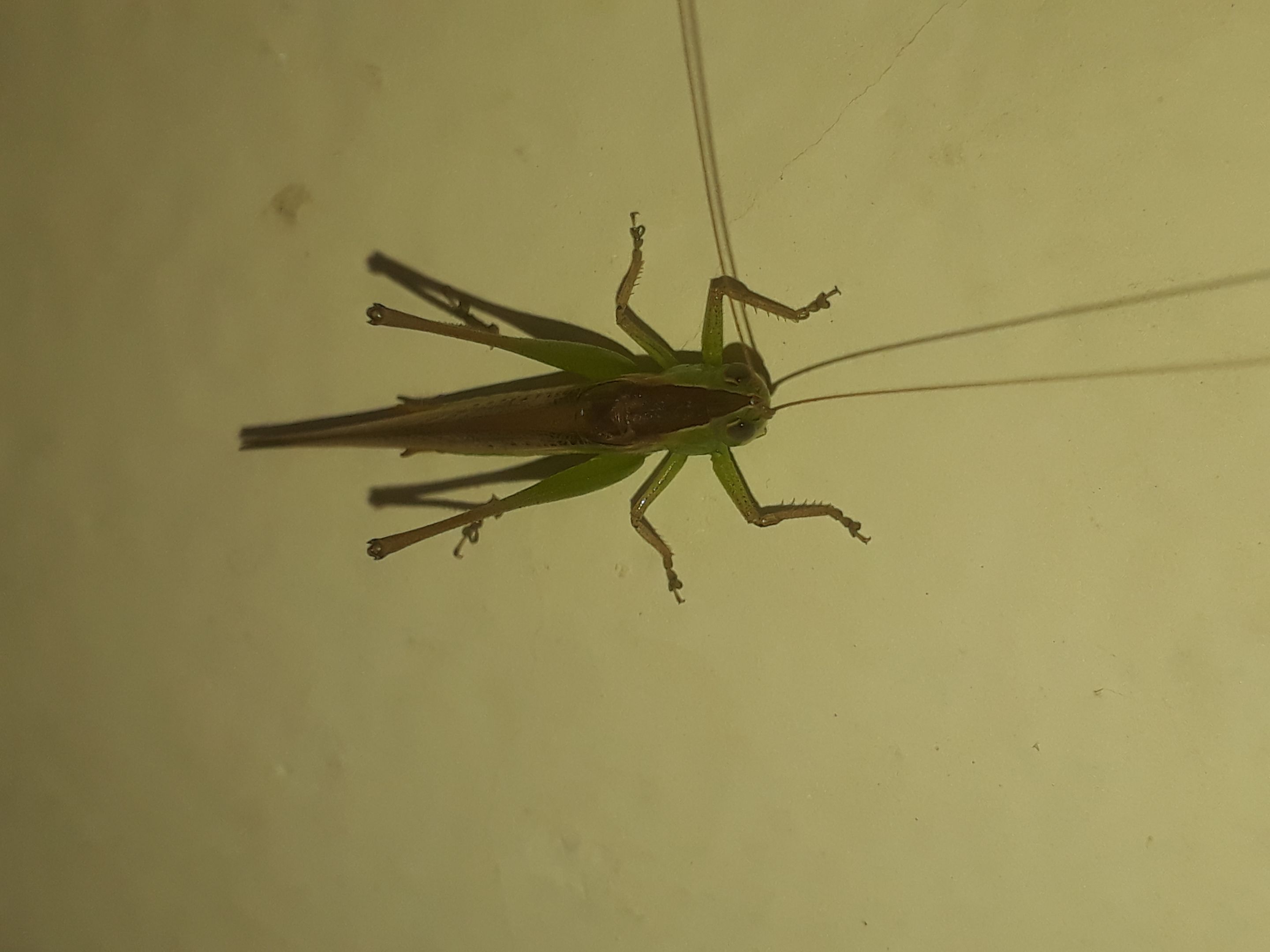 20220907_072104.jpg