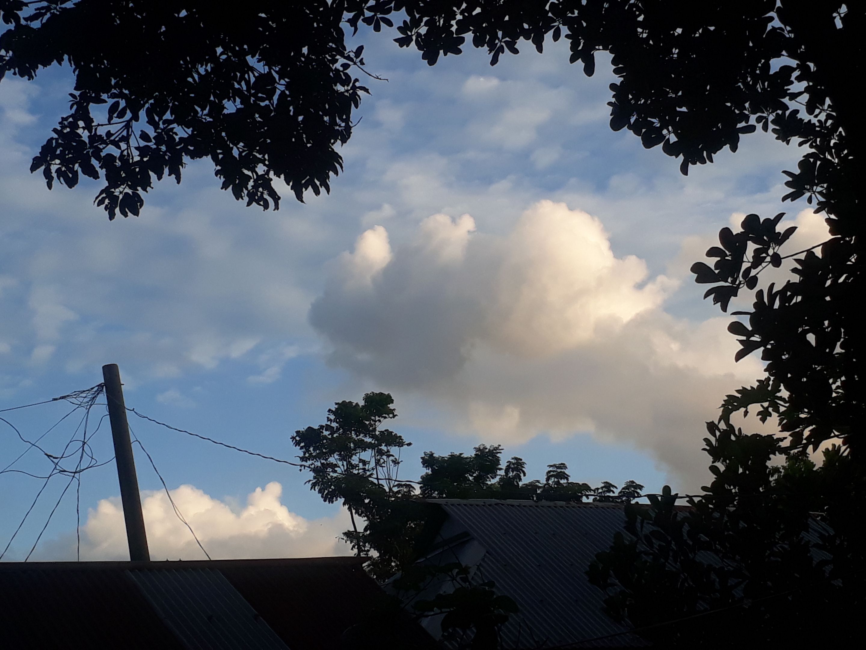 20230714_181547.jpg