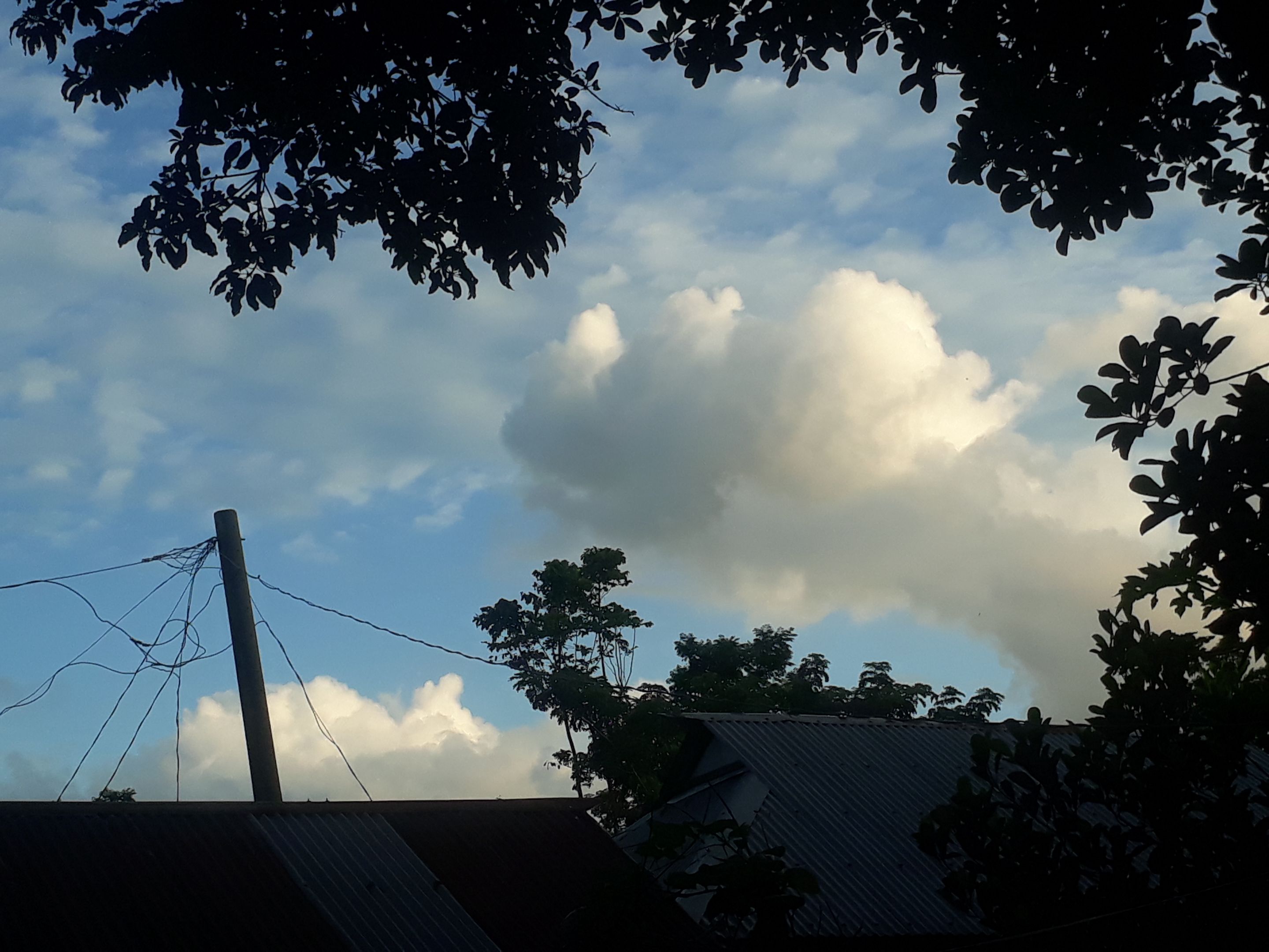 20230714_181540.jpg