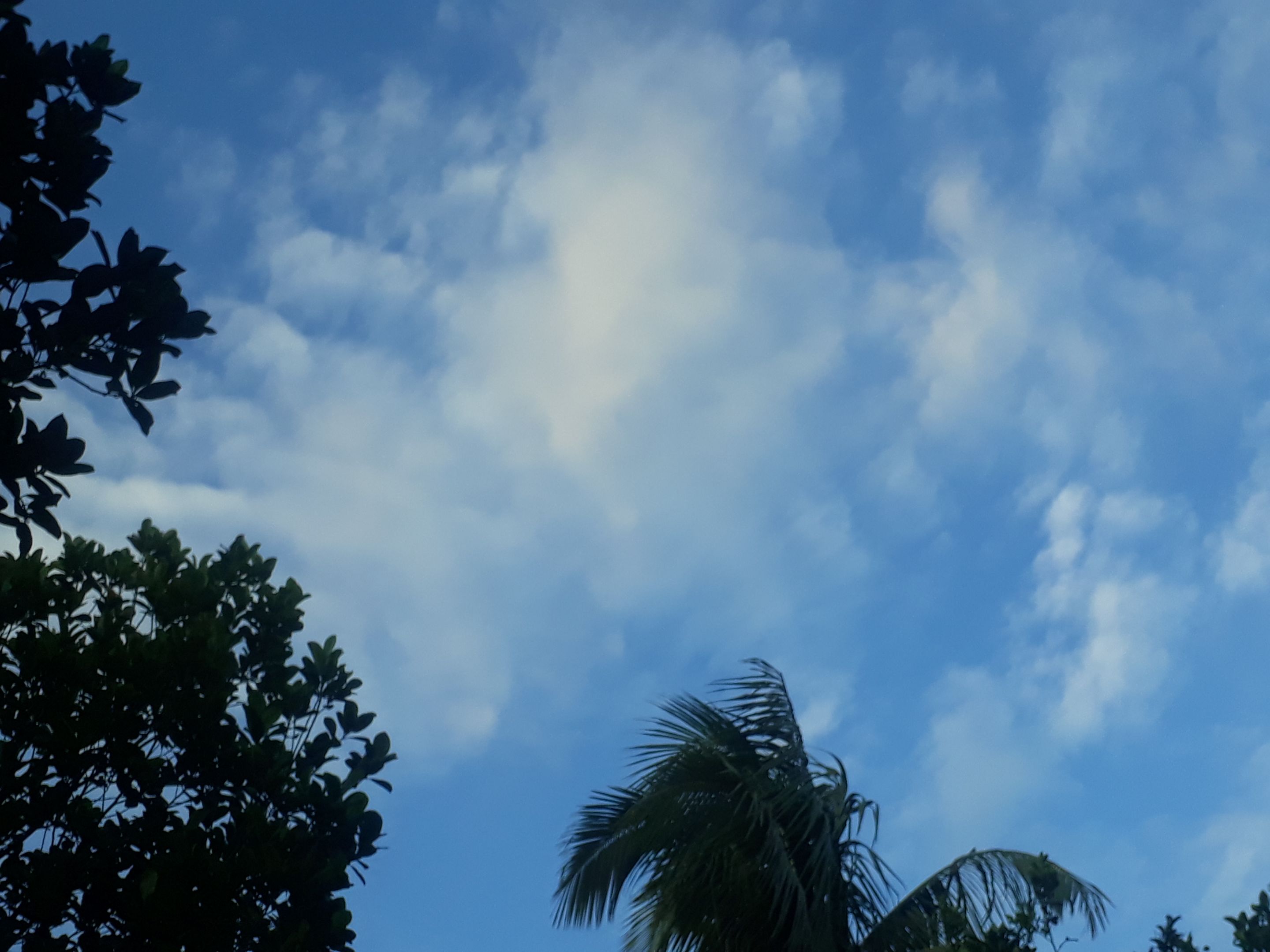 20230714_181319.jpg