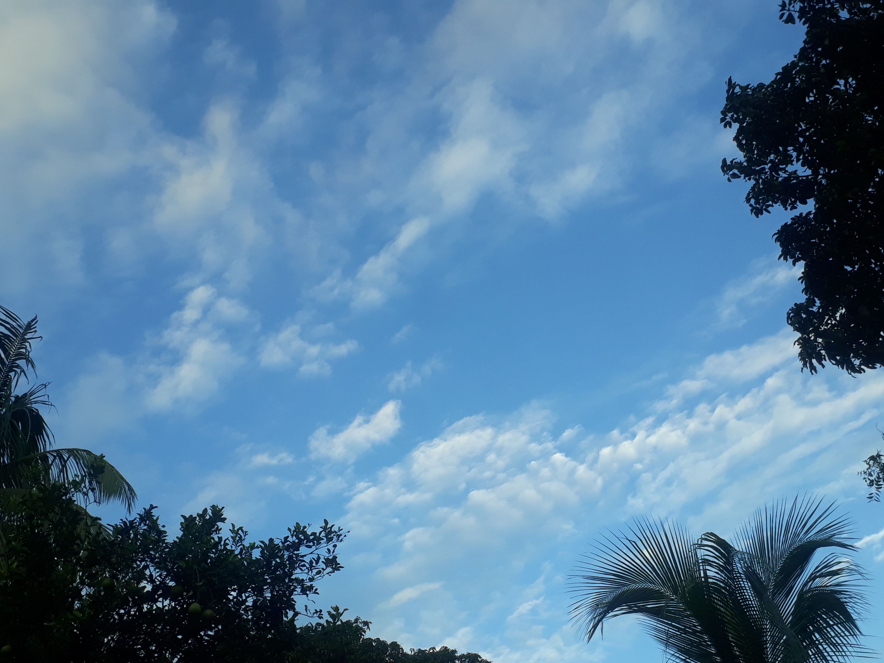 20230714_181310.jpg