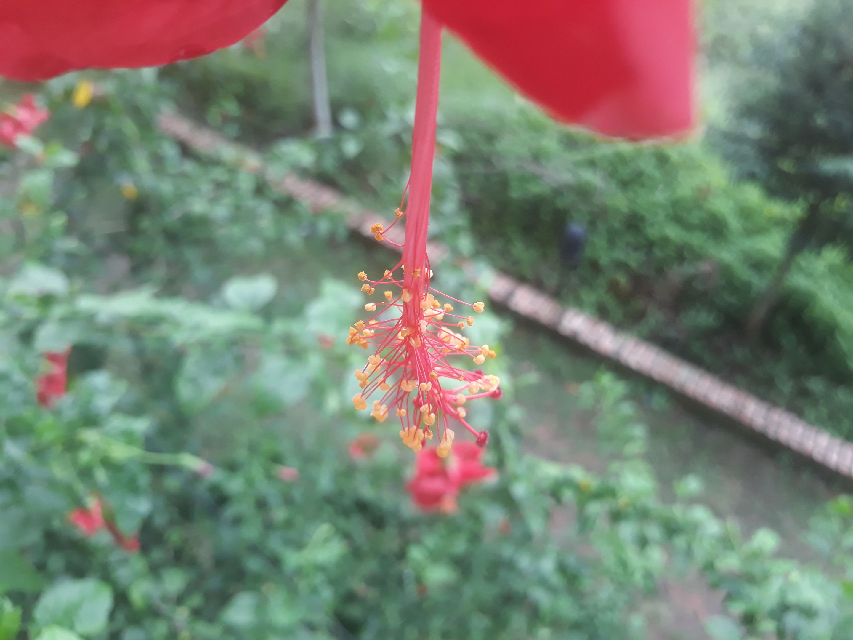 20220827_161732.jpg
