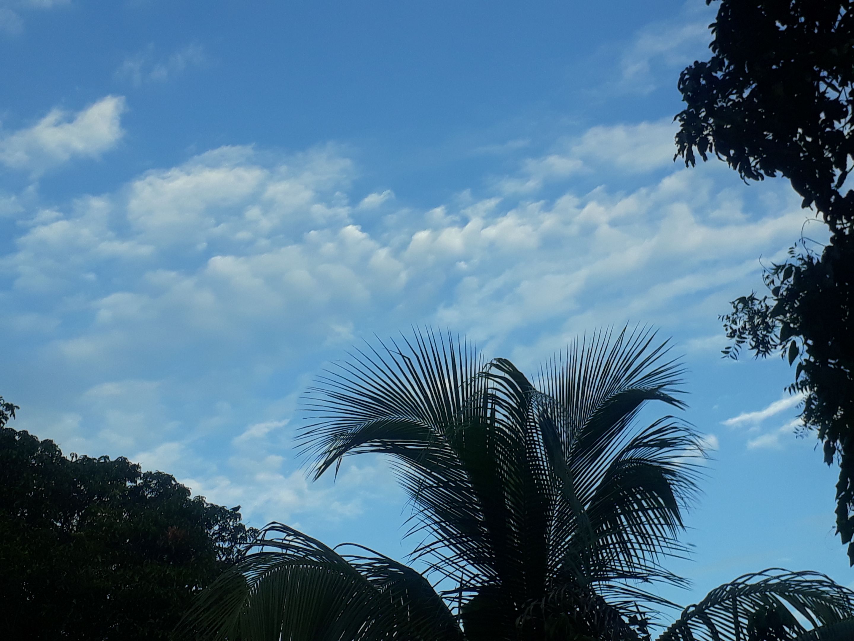 20230714_181255.jpg