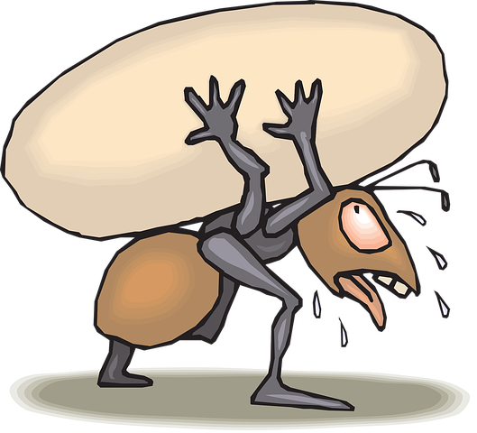 ant-44588__480.webp