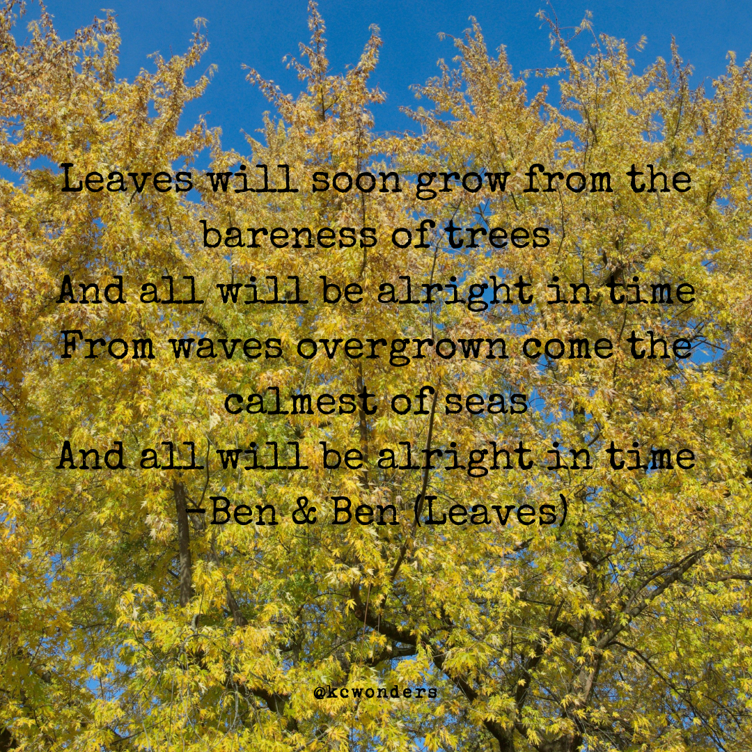 Leaves.png