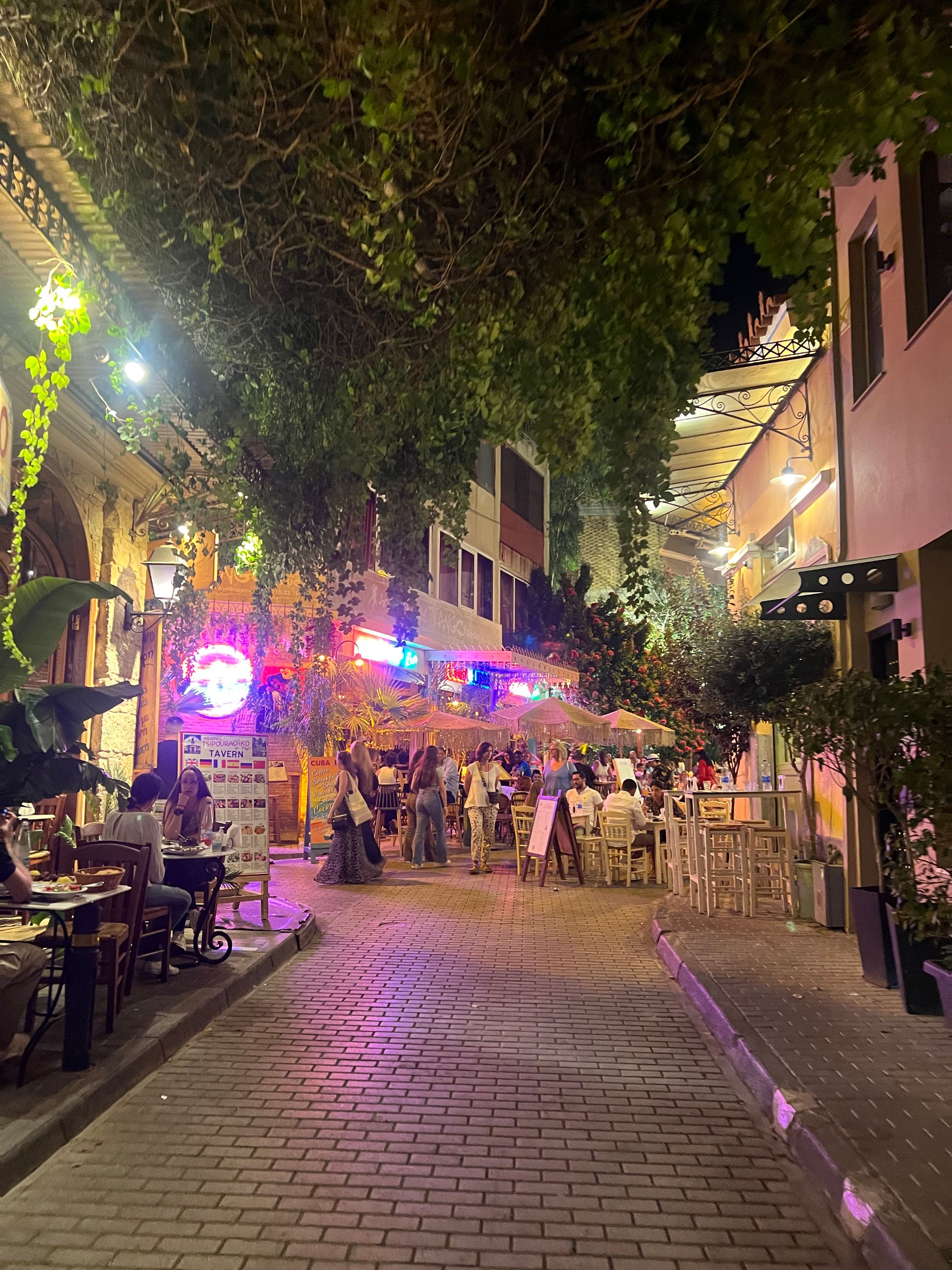 IMG_3571 (1).png