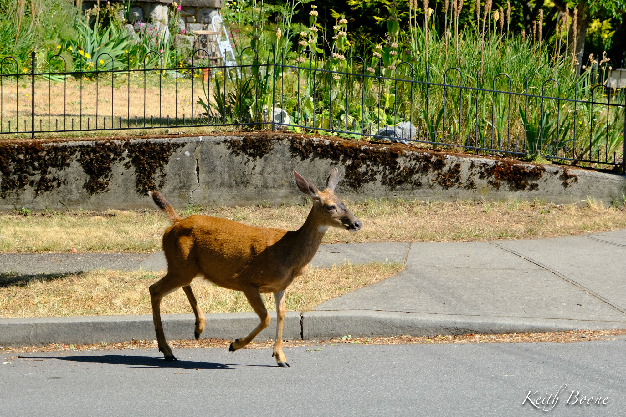 DSCF8026.jpg