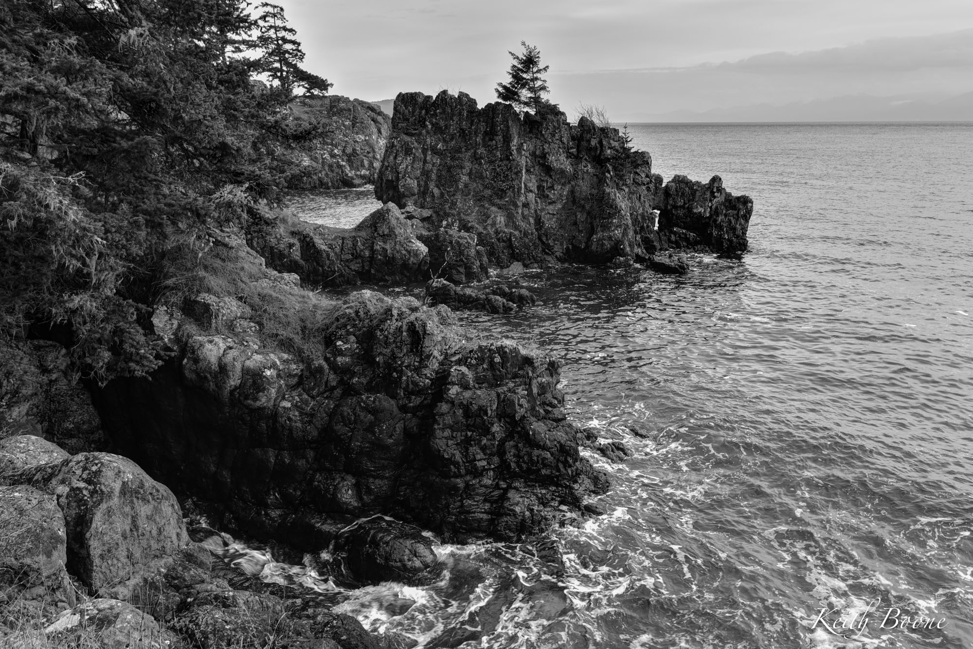 DSC_2103_4_5.jpg