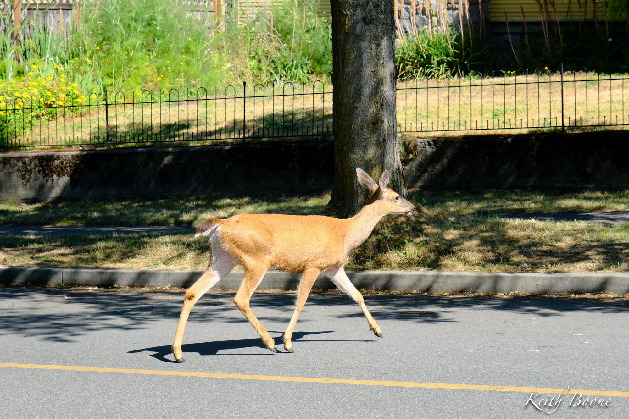 DSCF8025.jpg