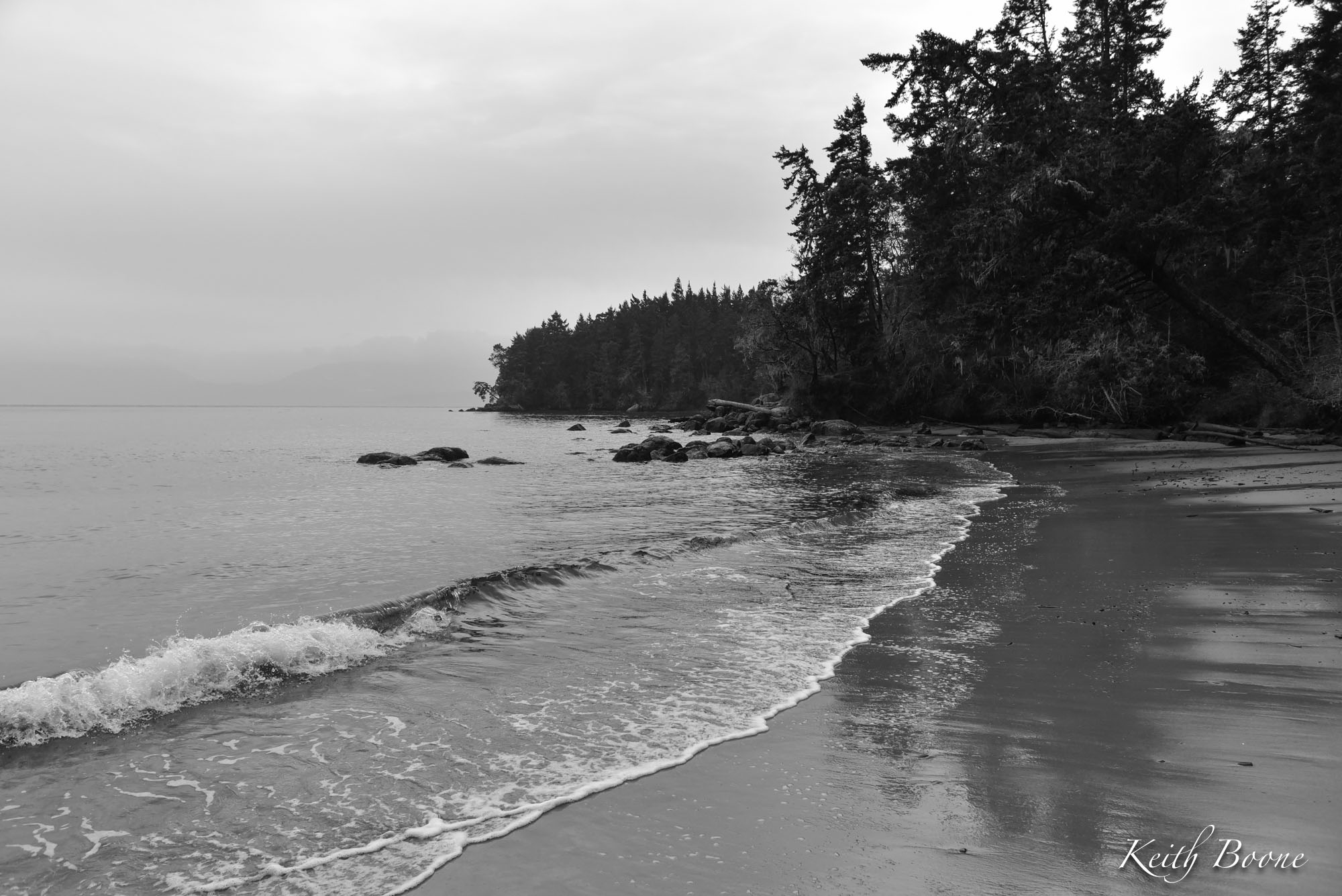 DSC_2365.jpg