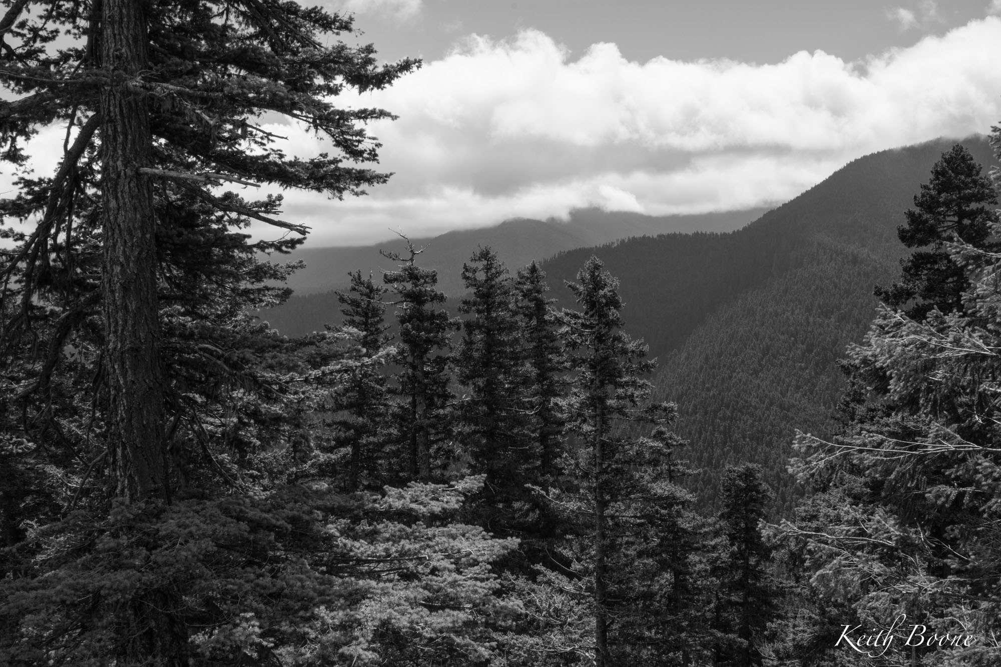 DSC_7776-2.jpg