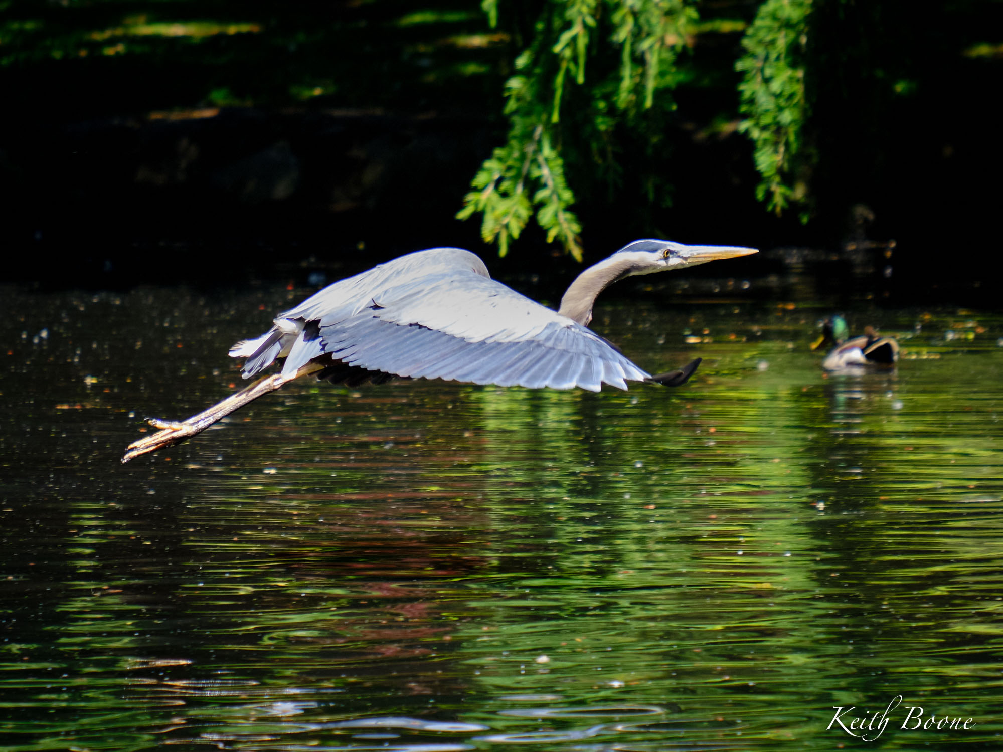 DSCF6671.jpg