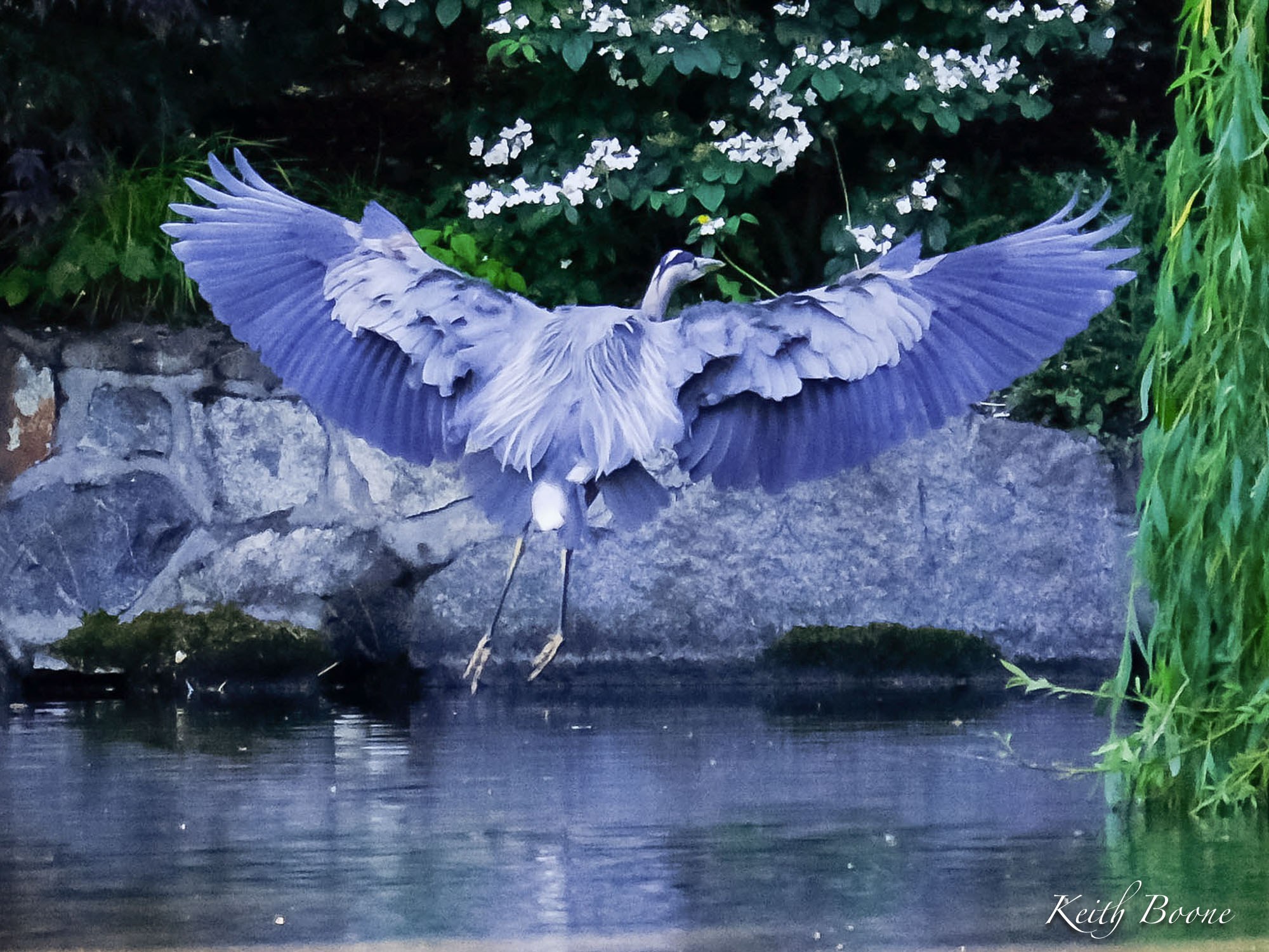 DSCF6646.jpg