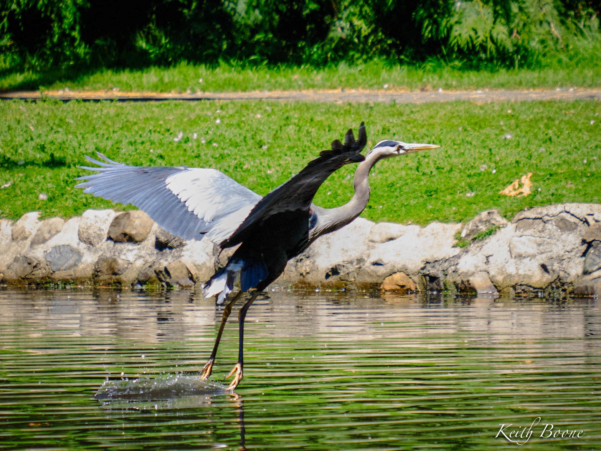 DSCF6679.jpg