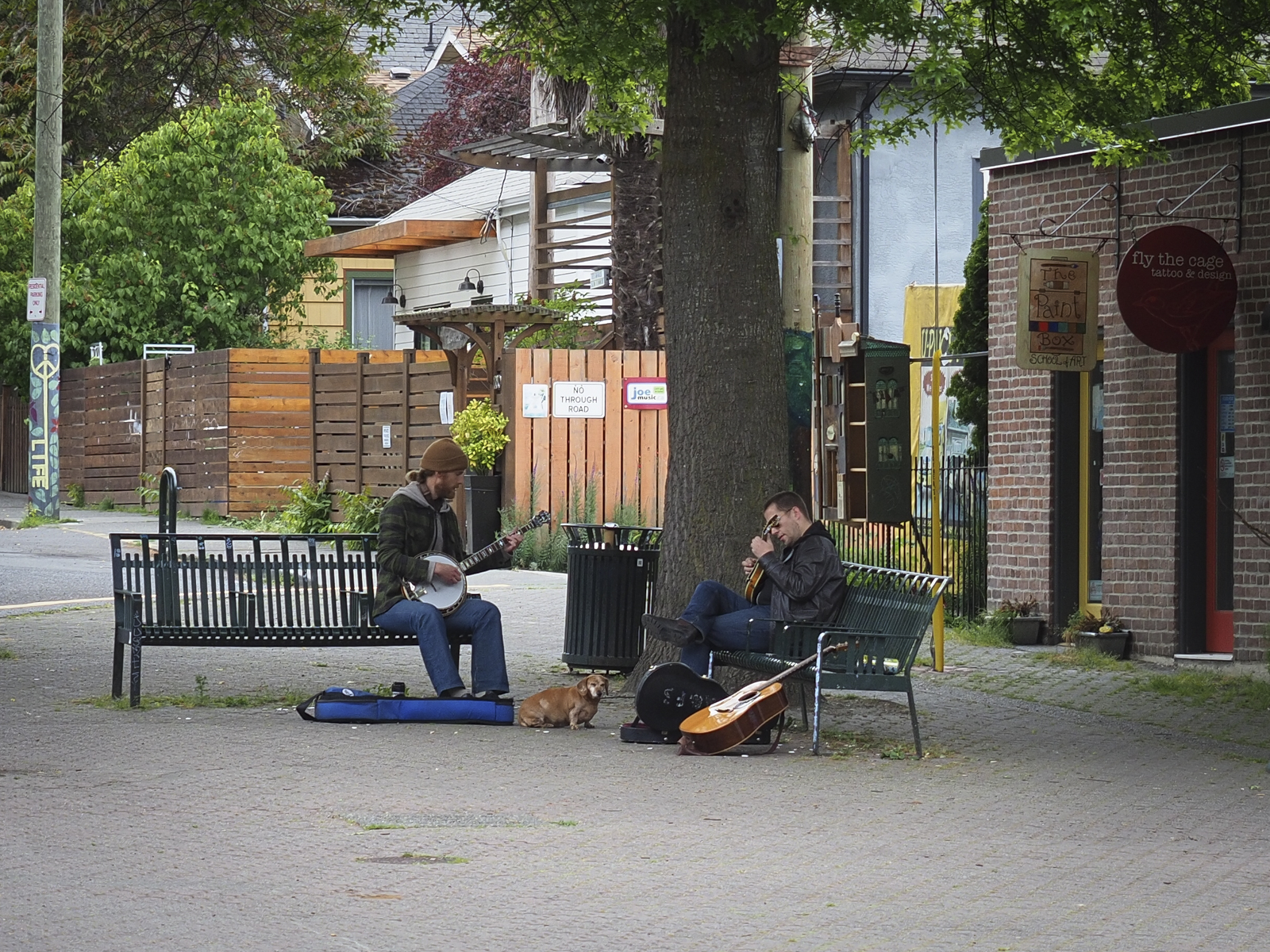 P5300018.jpg