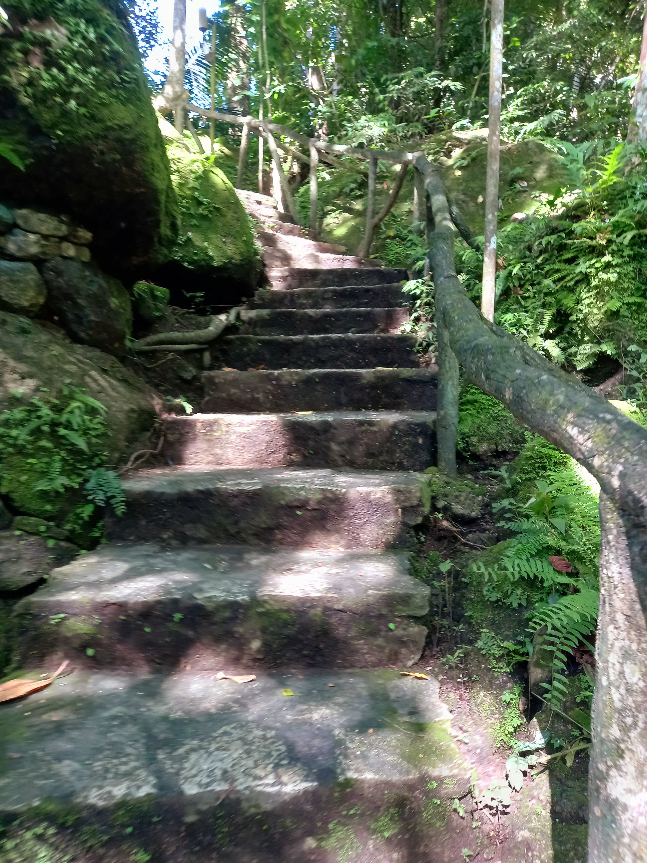 20220828_145621.jpg