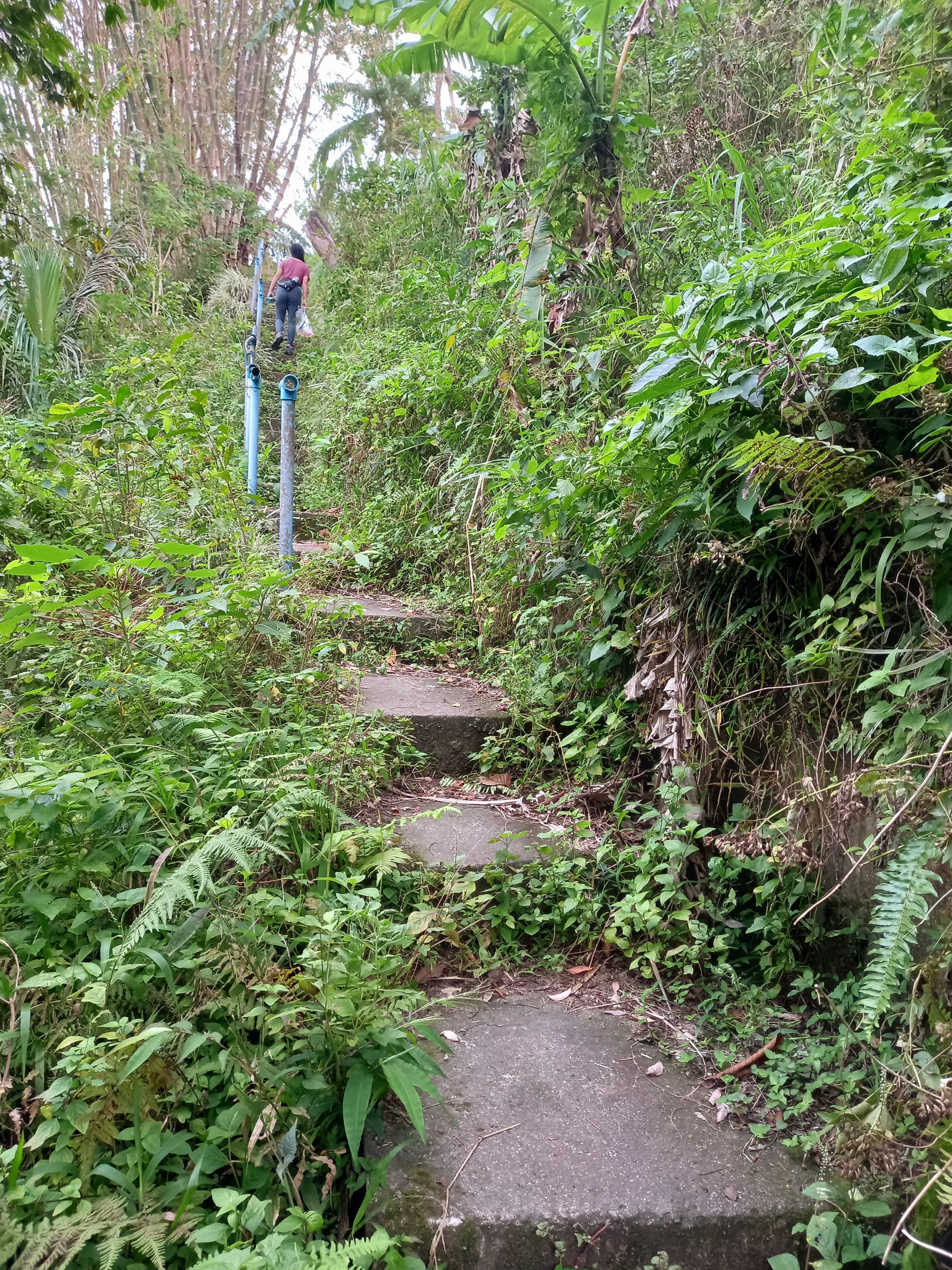 20230117_161716.jpg