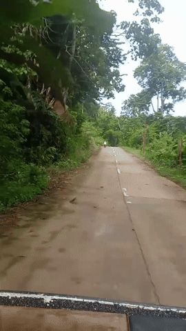 1000024551.gif