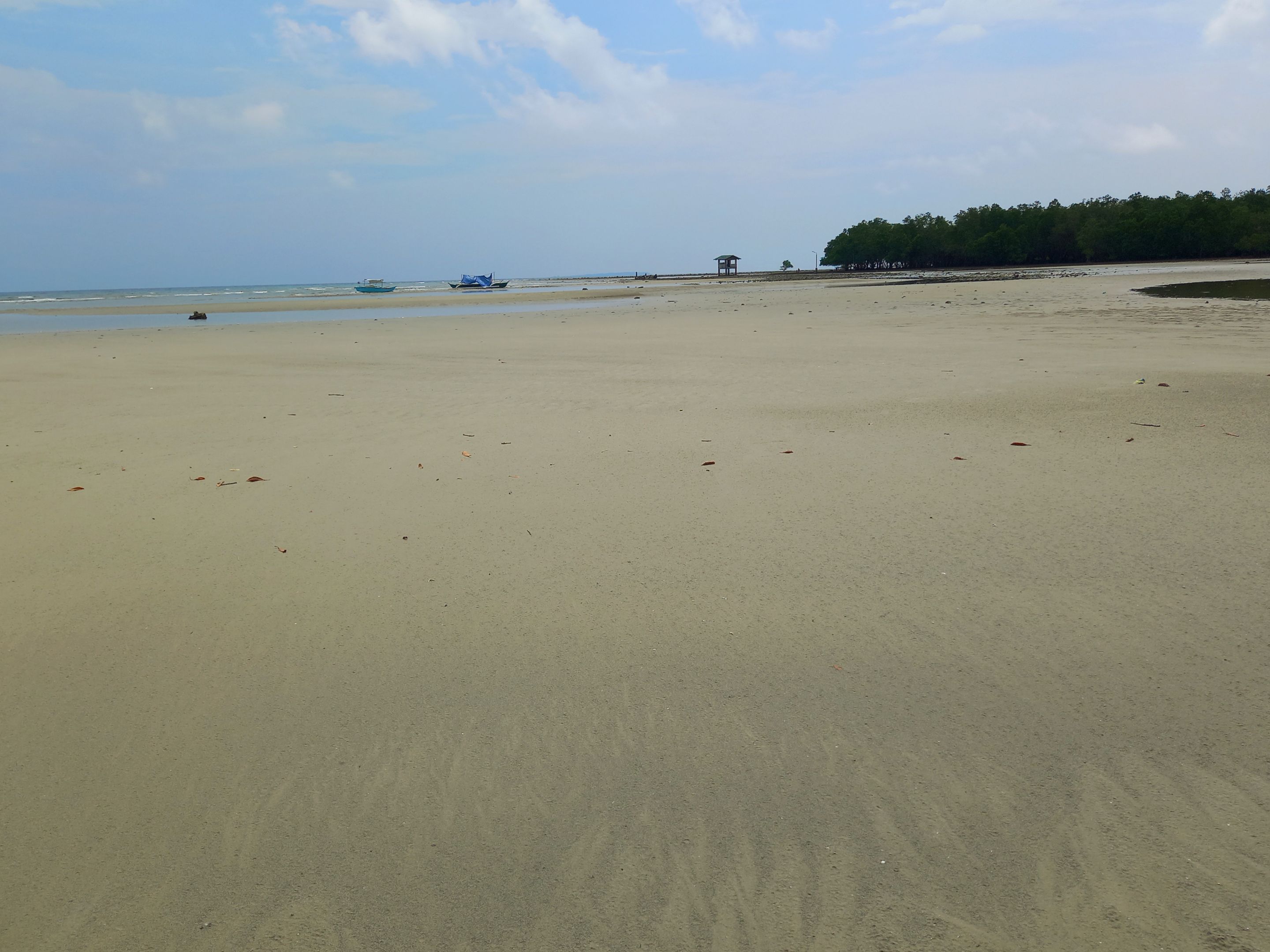 20231007_130252.jpg