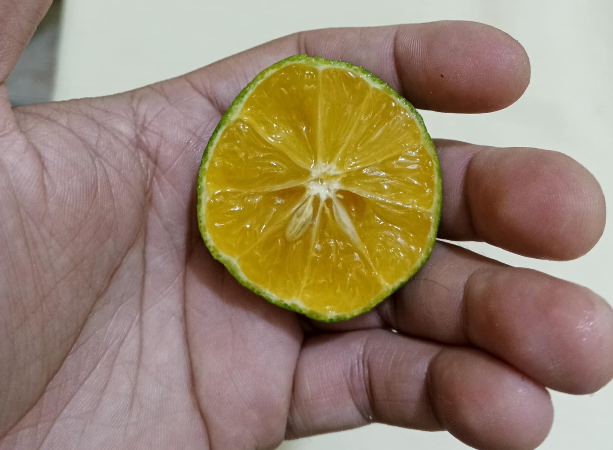 $1