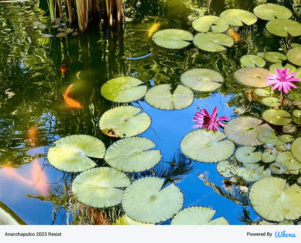share_image_1676840971062.png