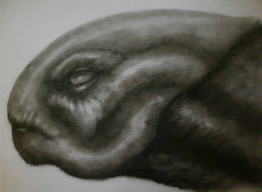 20250714_112425.jpg