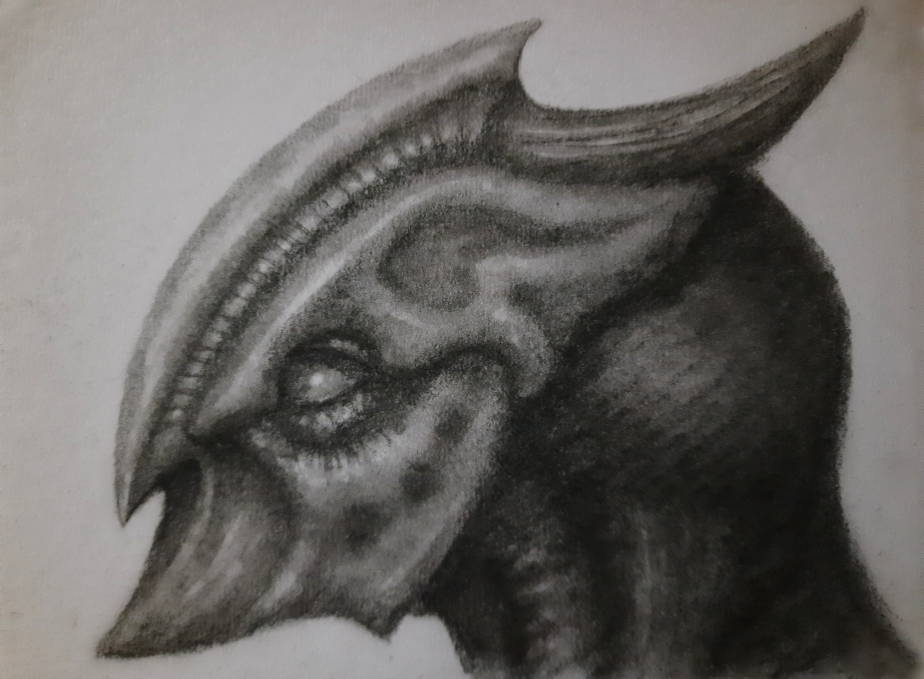 20240516_113746.jpg