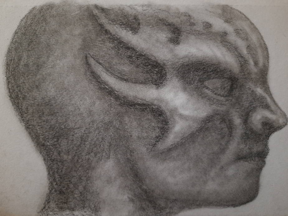 20250413_094718.jpg