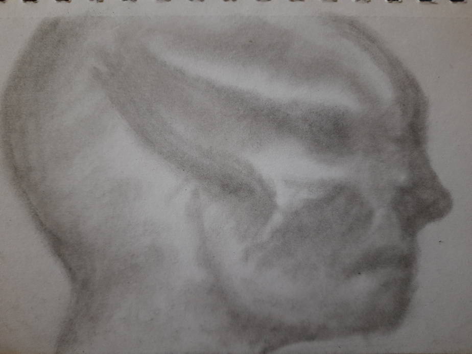 20250413_092748.jpg