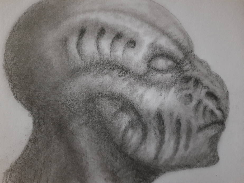 20240421_103226.jpg