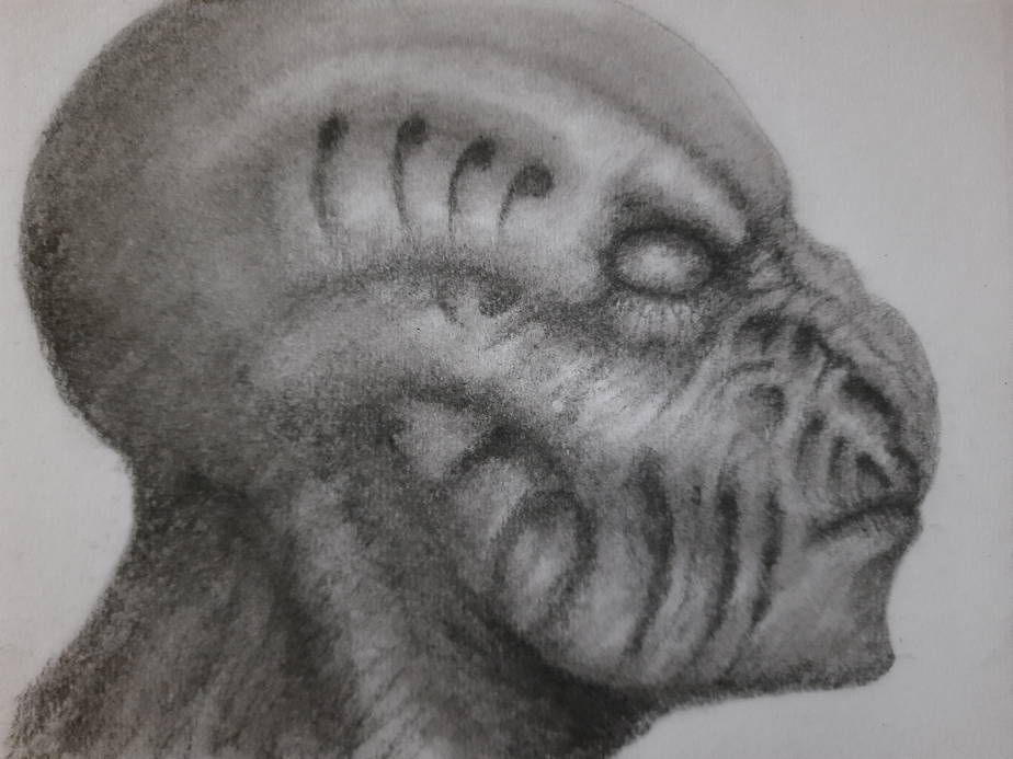 20240421_104059.jpg