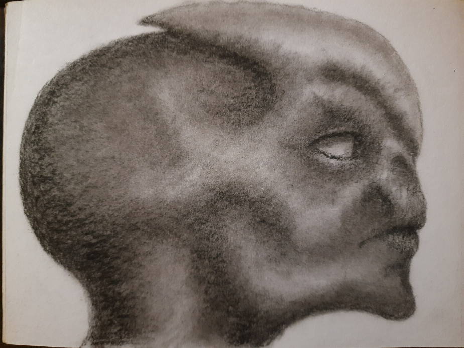 20250501_112829.jpg