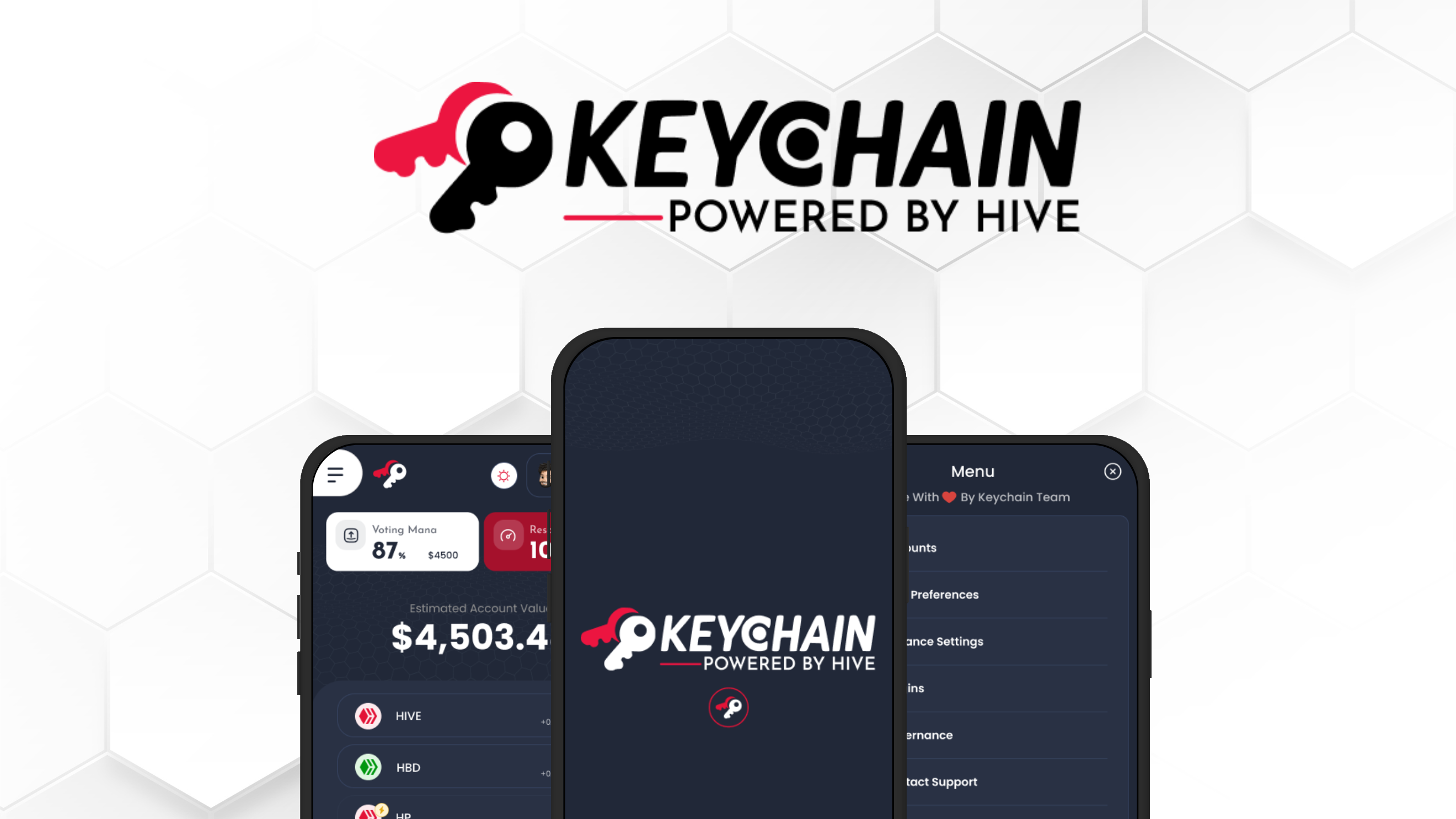Hive Keychain redesign (1).png