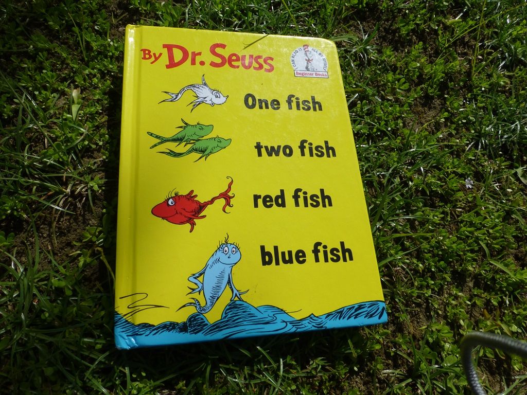 1 fish.JPG
