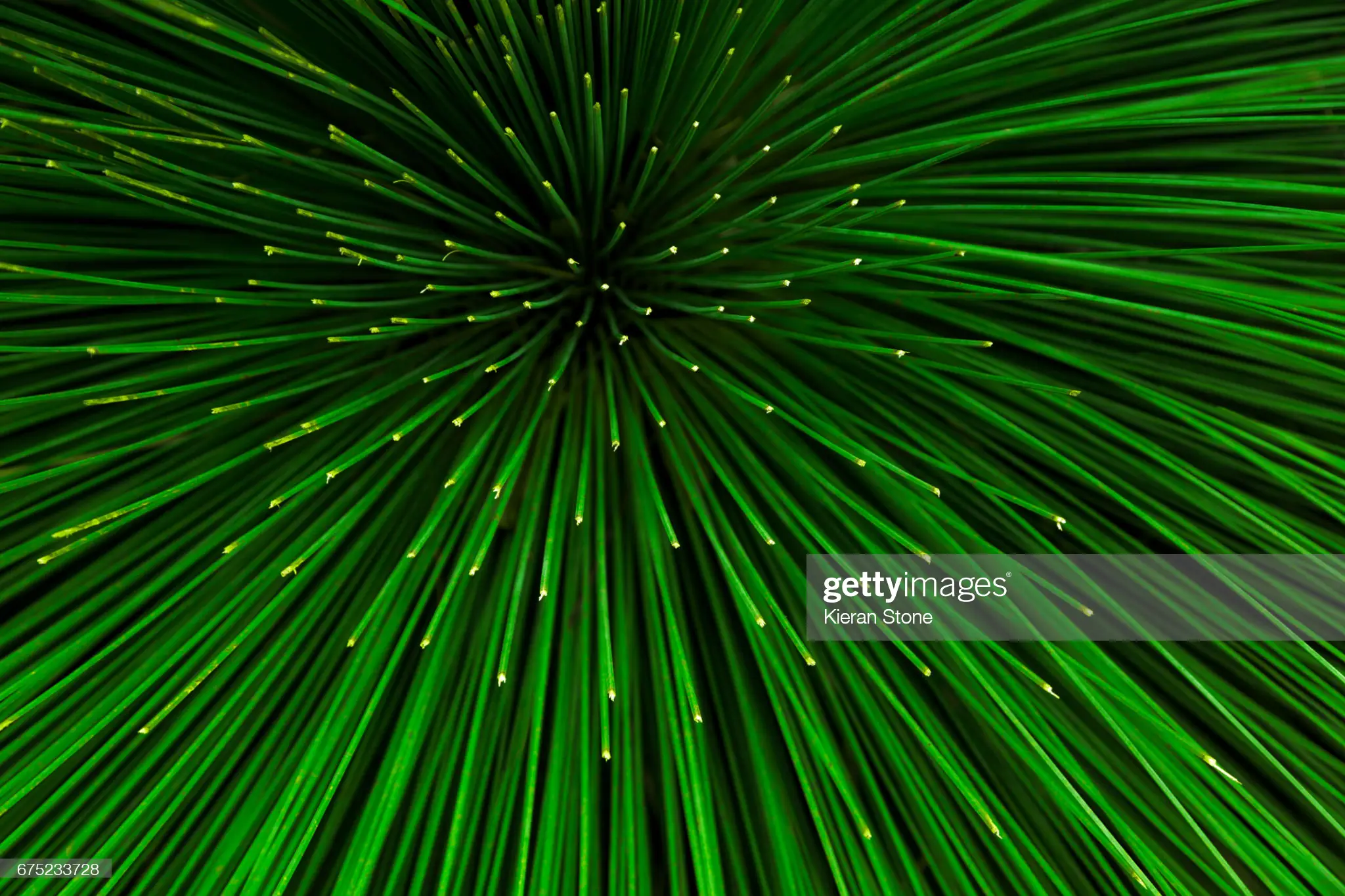 gettyimages-675233728.jpg