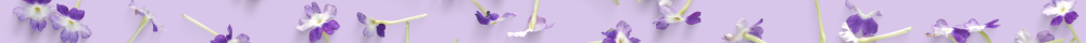 separador2.png