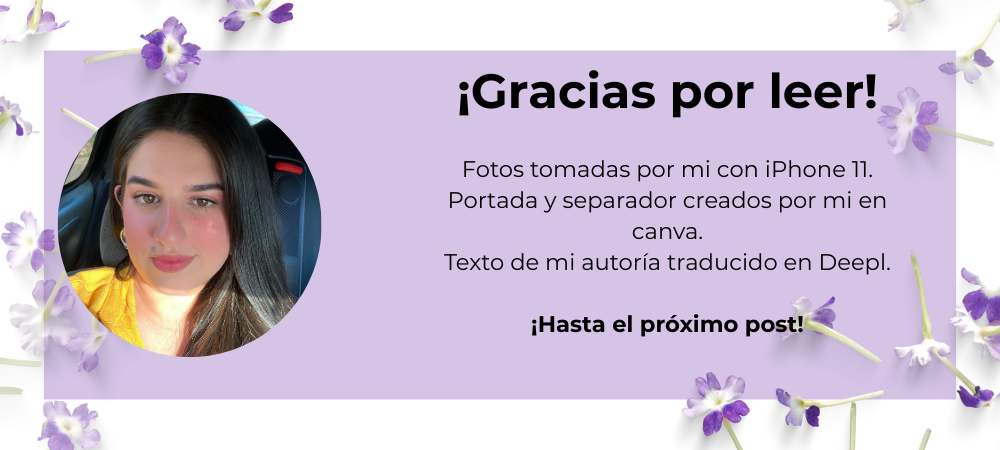 finalizar.png