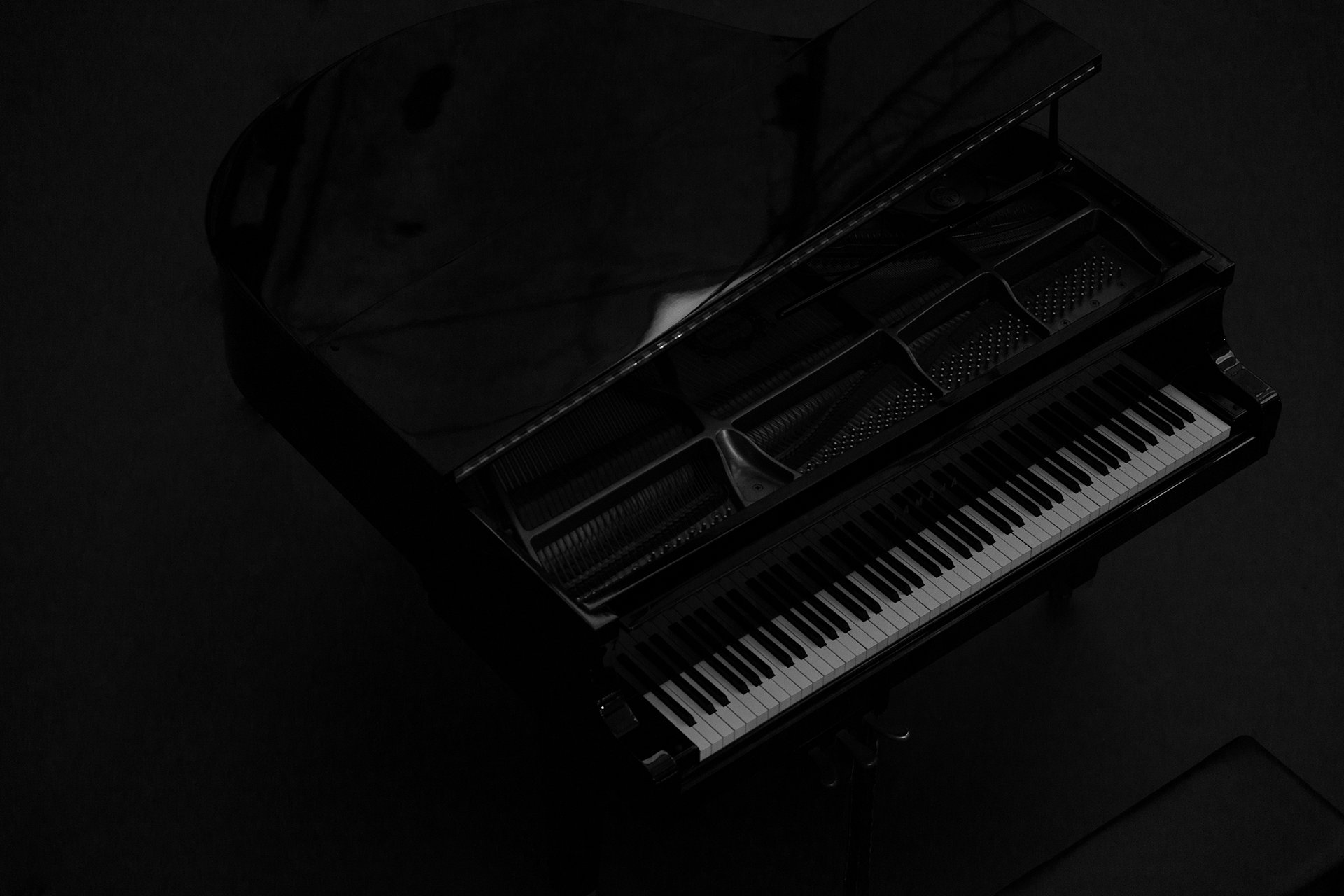 _DSC5677.png