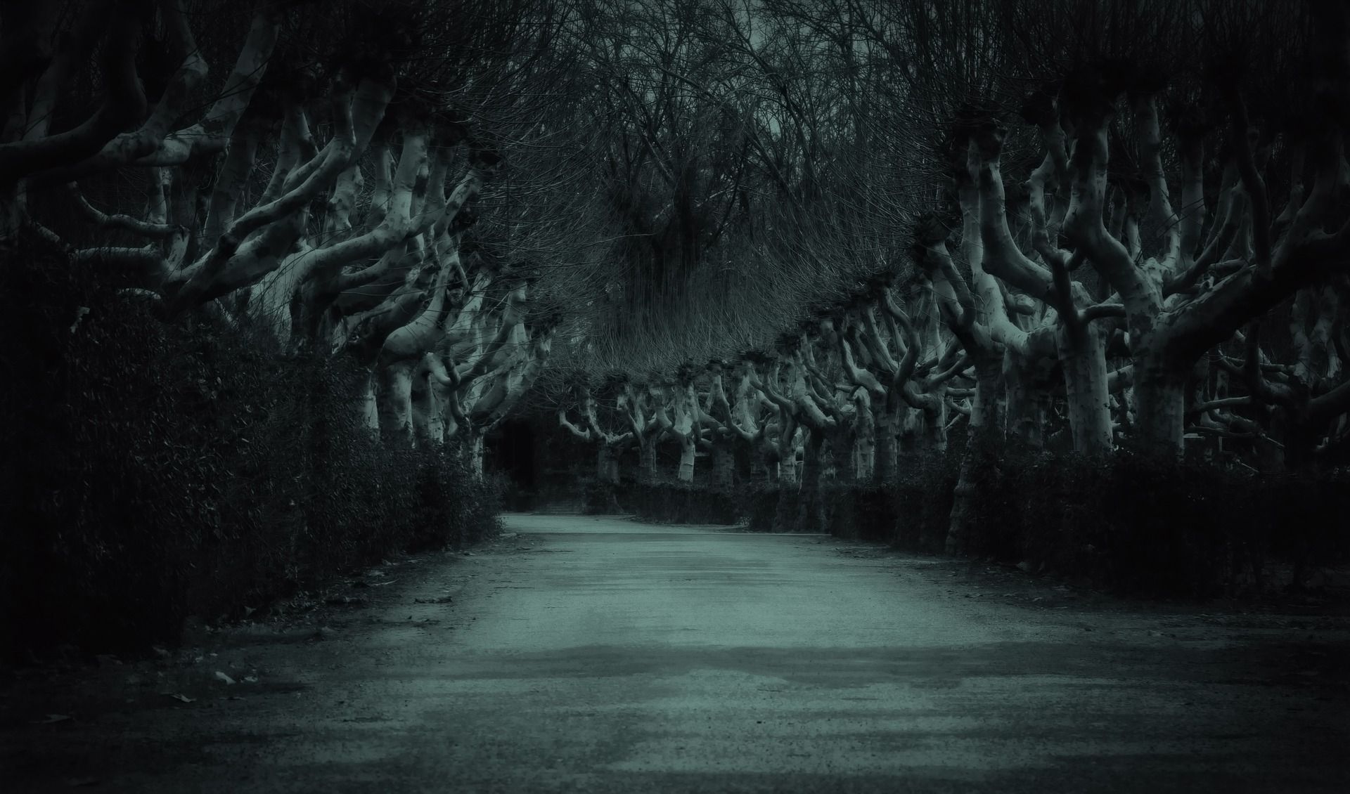 avenue-g27ac6f749_1920.jpg